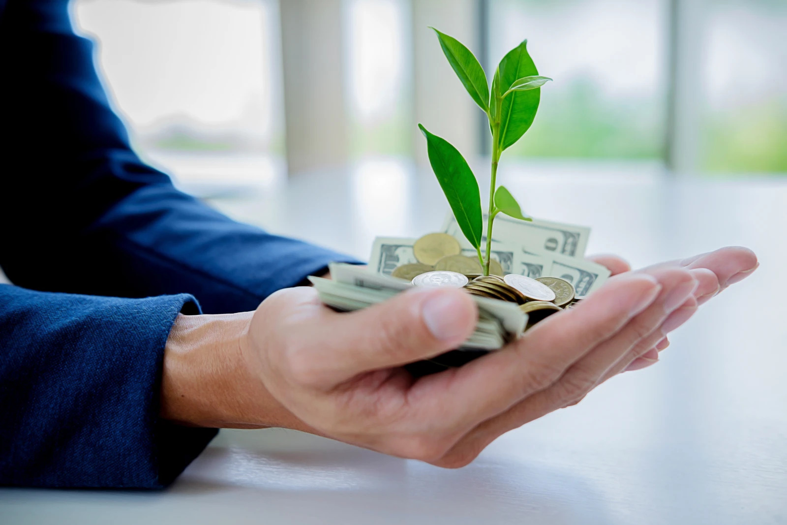 fairfield stern japan lose up of businessmen hands holding trees growth img.jpg